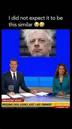 The Simularity! #comedy #viralvideo #viral #fyp #funny #funnyshorts #funnyvideo #viralshorts #reels