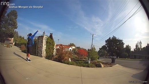 Delivery driver encounters bear