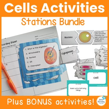Animal & Plant Cells Activities Stations - Middle School Science -Bundle