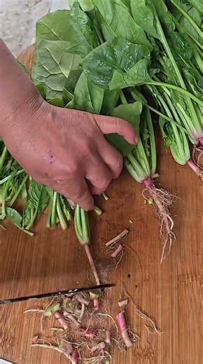 Mk 3063 mini rotary tillage and ridging all-in one tree 🌴 short view #travel #beach #flower# fruits