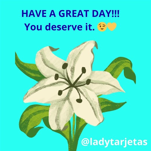 Girls Night Invitation |bold & Fun Digital Invite for Whatsapp/fun Invite/digital Invite/fast Download/ Girls Night Invite/ Instant Download - Etsy