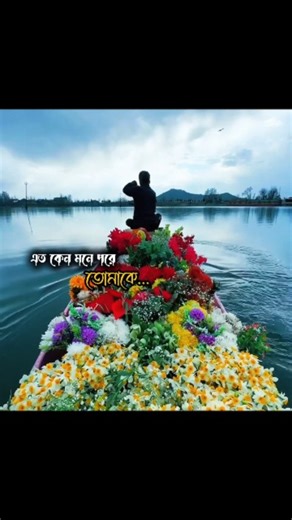 ➳𝐒𝐀𝐑𝐔𝐖𝐀𝐋 ᭄✰✰ on Instagram: "তুমি আমার এমনই একজন...!!!❤️‍🩹🌼🏵️ #instagramreels #trending #reels Lyrics & Poetry Artist 🎤 👉 I help aspiring songwriters & lyricists to craft viral verses & boost their creative confidence. 🚀 Delivered 2.4M+ views in 30 days with authentic lyricism & storytelling. 📩 DM for collabs & lyric‑writing tips 🔥"