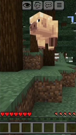 My game can't run custom tick speed 🫪 #minecraft