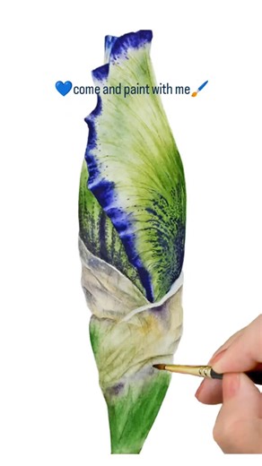 157 reactions | Iris Bud Tutorial  Come and paint with me️ | Marie Burke Art | Facebook