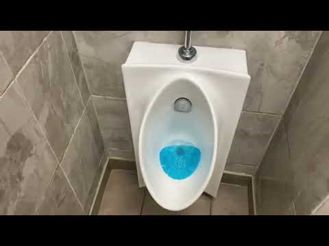 🚽Quickchek bathroom tour sink and Kohler urinal and American standard madera toilet