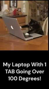 Hottest Thing! laptop meme