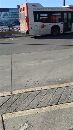 Bus terminal in square one
