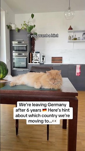 Hint about which country we’re moving to 👀// Best countries to move to for Americans