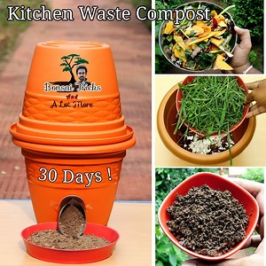 2M views · 23K reactions | How to Kitchen waste compost at home | DIY compost making for Beginners : Ayansbonsaitricks | Bonsai Tricks And a Lot More Official | Facebook