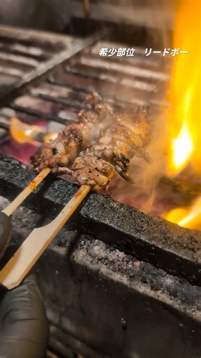 希少部位 【リードボー】 首のリンパのお肉 弊社では一日に約10本しか取れない希少部位。 食感が特徴的でシンプルにタレ焼きの上に白ごまをのせて✨️ #野乃鳥 #nonotorynihonbash #日本橋焼き鳥 #神田グルメ #リードボー | Atsushi Noami