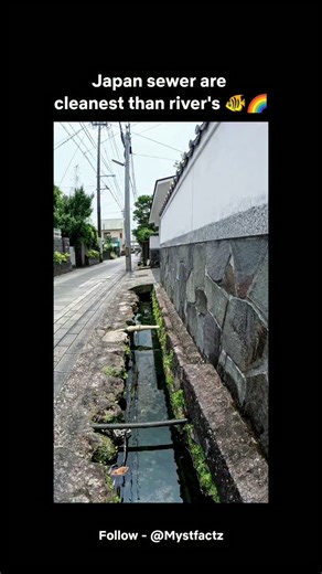 @mystfactz on Instagram: "This isn’t a river or an aquarium — it’s a Japanese underground sewer system. In some parts of Japan, drainage tunnels are so clean and well-maintained that fish can actually live inside them. Advanced filtration, controlled water flow, and strict waste management keep the water oxygen-rich and clear. What looks impossible elsewhere is normal here — a hidden example of Japan’s world-class urban engineering beneath the streets. #JapanFacts #UndergroundWorld #CleanestSewe