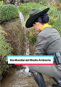 🌱 En el Día Mundial del Medio Ambiente, reafirmamos nuestro compromiso con la protección de la naturaleza y la vida. Cada acción cuenta. Juntos construimos un futuro más sostenible. #medioambiente #parati #viraltiktok