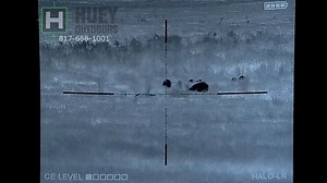 First group with my JP silent capture spring installed on the MKII REPR feels like subsonic 300 blackout now. Full rig load out REPR MK2.308, Q Thunder Chicken, N-vision Halo 50mm, magpul 50 round drum. Hogs start at 150 yards last one shot 350 yards in low bowl shaped area. Todd on high ground with 308 and 50 round drum = happy Todd sad piggy’s. 14 recovered full clip is more than a minutes I’ll be on YouTube at a later date. #hogs #feralhogs #hunting #boar #hoghunting #thermal #farm #ranch #te