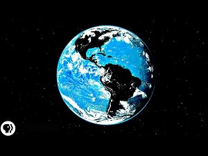 Why aren't plants black? 🌿