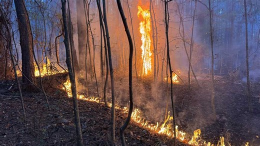 Outdoor burning restrictions lifted in some South Georgia counties