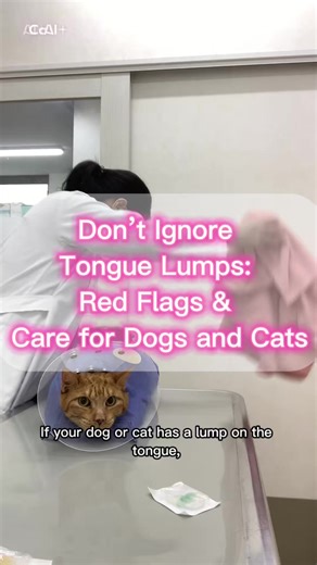 Informative Insights on Tongue Tumors in Pets