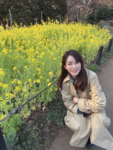 細川直美菜の花