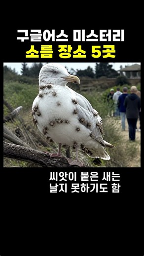 구글어스에 찍힌 소름 돋는 장소 5곳…핏빛 호수부터 블랙홀 섬까지