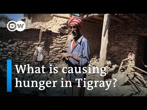 Ethiopia's Tigray region on 'brink of famine' | DW News