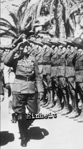 The real reason. #history #ww2 #ww2rebuilder #cityhistory #history #knowledge #facts #news #german