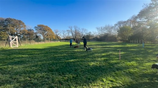 At first glance, this video just looks like a dog training class… But...