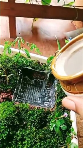 mini pond making ideas #miniaturegarden