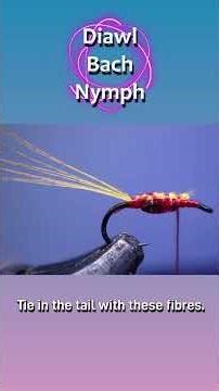Diawl Bach Nymph pattern