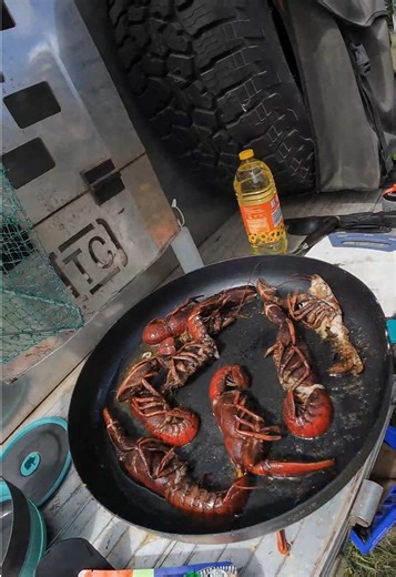 Yabby Cooking on a Farm: Fresh and Simple Recipes