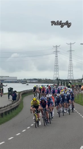 Peloton with a view #cyclingshorts #cyclingrace #bikelife #ciclismo #bikingshorts #bike #race