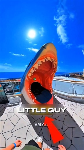 The TRUTH About the Scary Shark Slide! 🦈😱 #SharkSlide