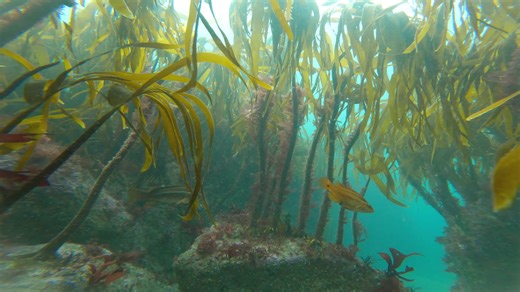 19K views · 285 reactions | We're both still learning how to edit...