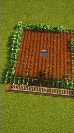 How to make a starter carrot farm Create!