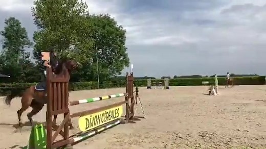 Horse Jumping Accident: Rider Falls During Event