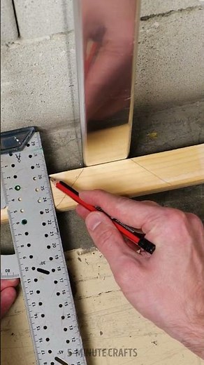 He used a ruler as an instrument to measure the sizes 📏