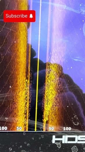 Biggest school of Striper ever on side imaging! #bassfishing #fishingshorts