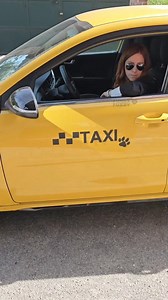 2.3K views · 21 reactions |  Calling all dog lovers!  Introducing...