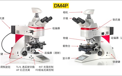 【操作指导介绍】Leica DM4 P偏光显微镜