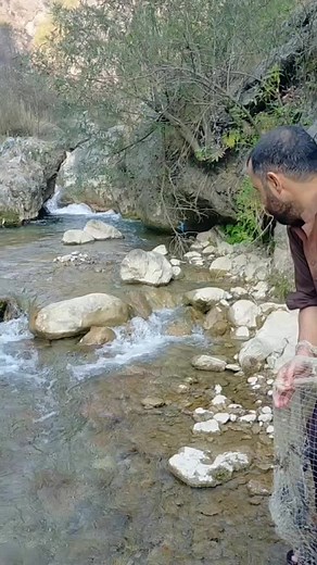 حسابات مقترحة