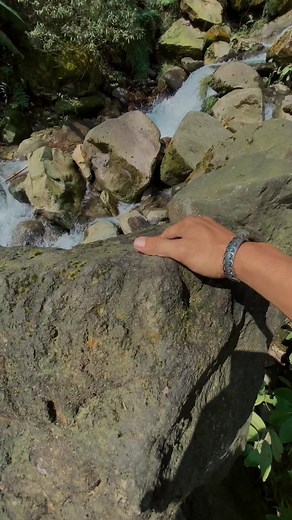 “Papuabadboy” on TikTok