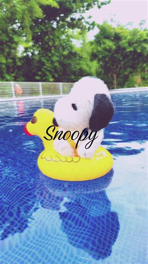Creative Snoopy Post Ideas for Fans