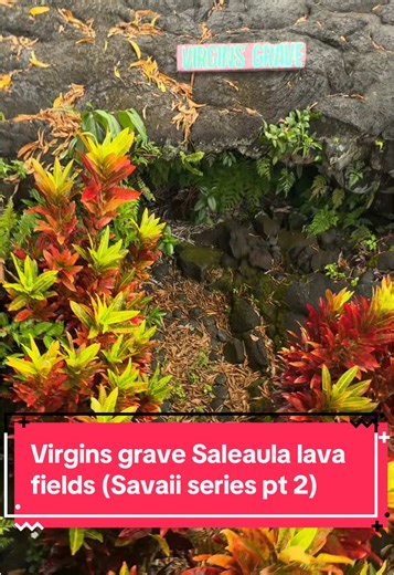 Virgin’s Grave – Saleaula Lava Fields 🔥 An untouched burial site of a High Chief’s daughter (taupou) a girl so pure that lava flowed around her grave, laid to rest before the Mt. Matavanu volcanic eruption began in 1905. Remarkably, the grave survived the lava flow and now stands surrounded by hardened lava. The site is cared for and managed by the local women’s committee. #savaii #samoa #saleaulalavafields #visitsamoa