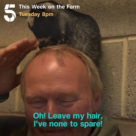 697K views · 9.9K reactions | Millie, meet Primrose! Rob and Dave are hoping these kids will be the best of (pen) pals  | Channel 5 | Facebook