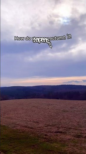 Seasons in Japanese 🌸❄️☀️🍁 | Spring, Summer, Autumn & Winter Vocabulary