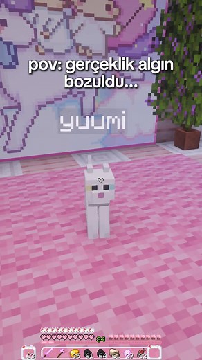Minecraft POV: gerçeklik algın bozuldu — Evori / Evoricraft