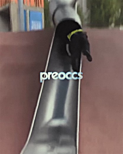Preoccupations on Reels
