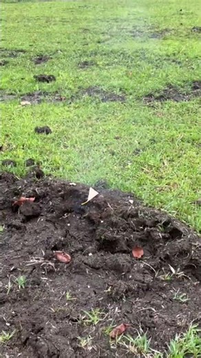 Triangle Cracker #firecracker#fireworks#experiment#shorts