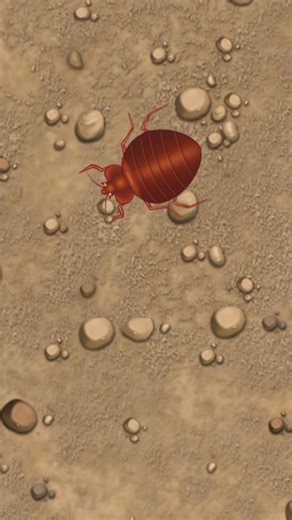 Interactive Games for Cats: Hunt Bugs with These Engaging Apps!