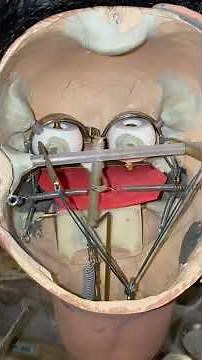 Ventriloquist Dummy Brains!