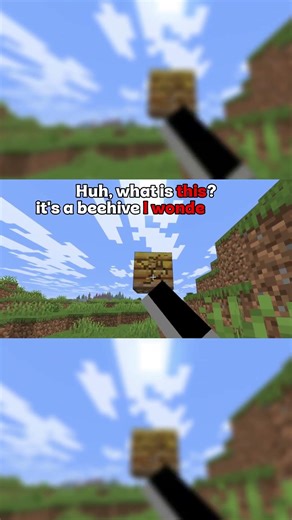 Trenton's WOOL Experience...🐏😼⛏️