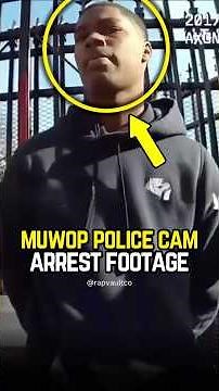 Police Cam Footage of Rappers Getting ARRESTED😳